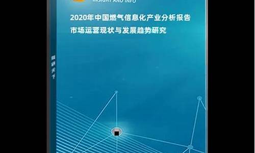 燃气公司信息化_燃气信息化市场分析报告总