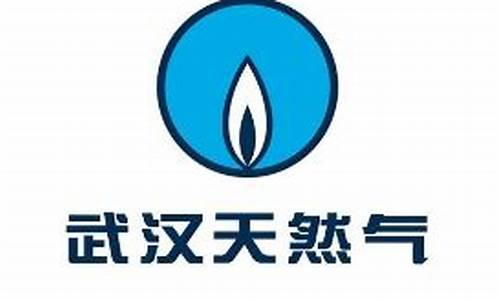 武汉市商用天然气价格文件_武汉市天然气计