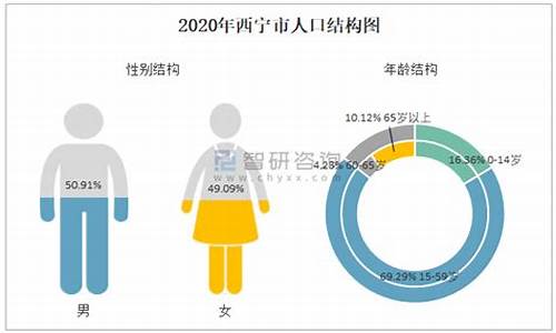 2020年西宁市天然气价格表_2020年西宁市天然气价格表图