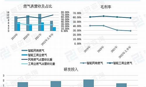 关于燃气行业的调研报告_燃气信息化市场调研方案怎么写范文